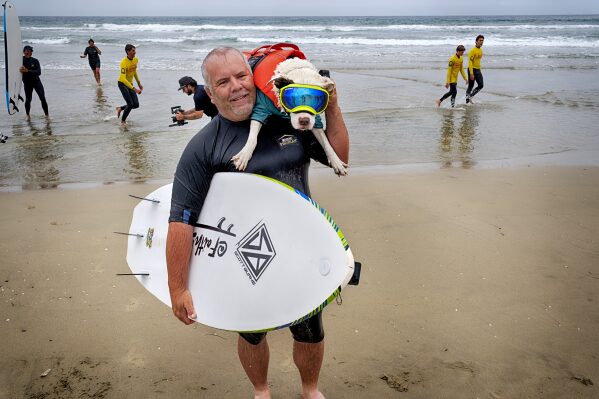 James Will carries his dog Faith, a 13-year-old partially blind and deaf American pit bull terrier, after competing in the annual Incredible Dog Challenge western regional surfing competition in Huntington Beach, Calif., Friday, June 20, 2025. (AP Photo/Richard Vogel)