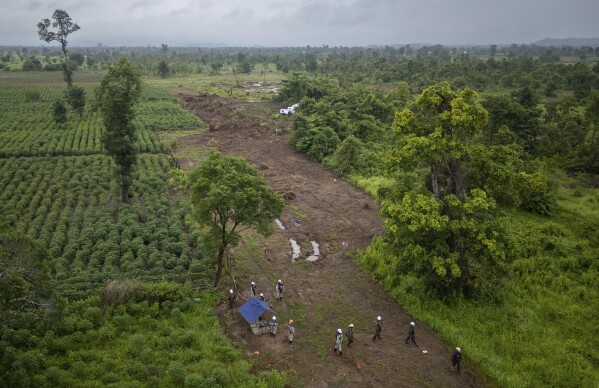 Rat detection teams with the humanitarian demining organization APOPO deploy to a landmine field in Siem Reap, Cambodia, Wednesday, June 11, 2025. (AP Photo/Anton L. Delgado)