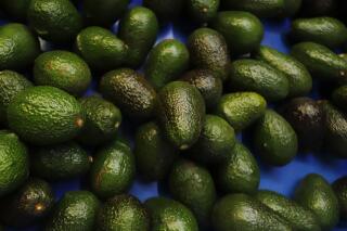 Avocados wait to be processed at a packing plant in Uruapan, Mexico, Wednesday, Feb. 16, 2022. Social media posts are conflating safety warnings for a cleaning product with a company by the same name that creates a plant-based coating to keep produce fresh. (AP Photo/Armando Solis)