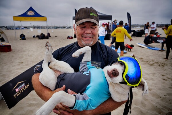 James Will cradles Faith, a 13-year-old partially blind and deaf American pit bull terrier, prior to competing in the annual Incredible Dog Challenge western regional surfing competition in Huntington Beach, Calif., Friday, June 20, 2025. (AP Photo/Richard Vogel)