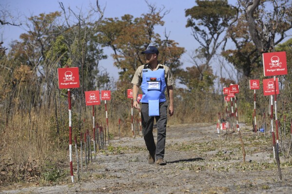 Britain's Prince Harry walks through a minefield during a visit to see the work of landmine clearance charity of the Halo Trust, in Cuito Cuanavale, Cuando province, southern Angola, Wednesday, July 16, 2025. (Ampe Pedro/The Halo Trust via AP)